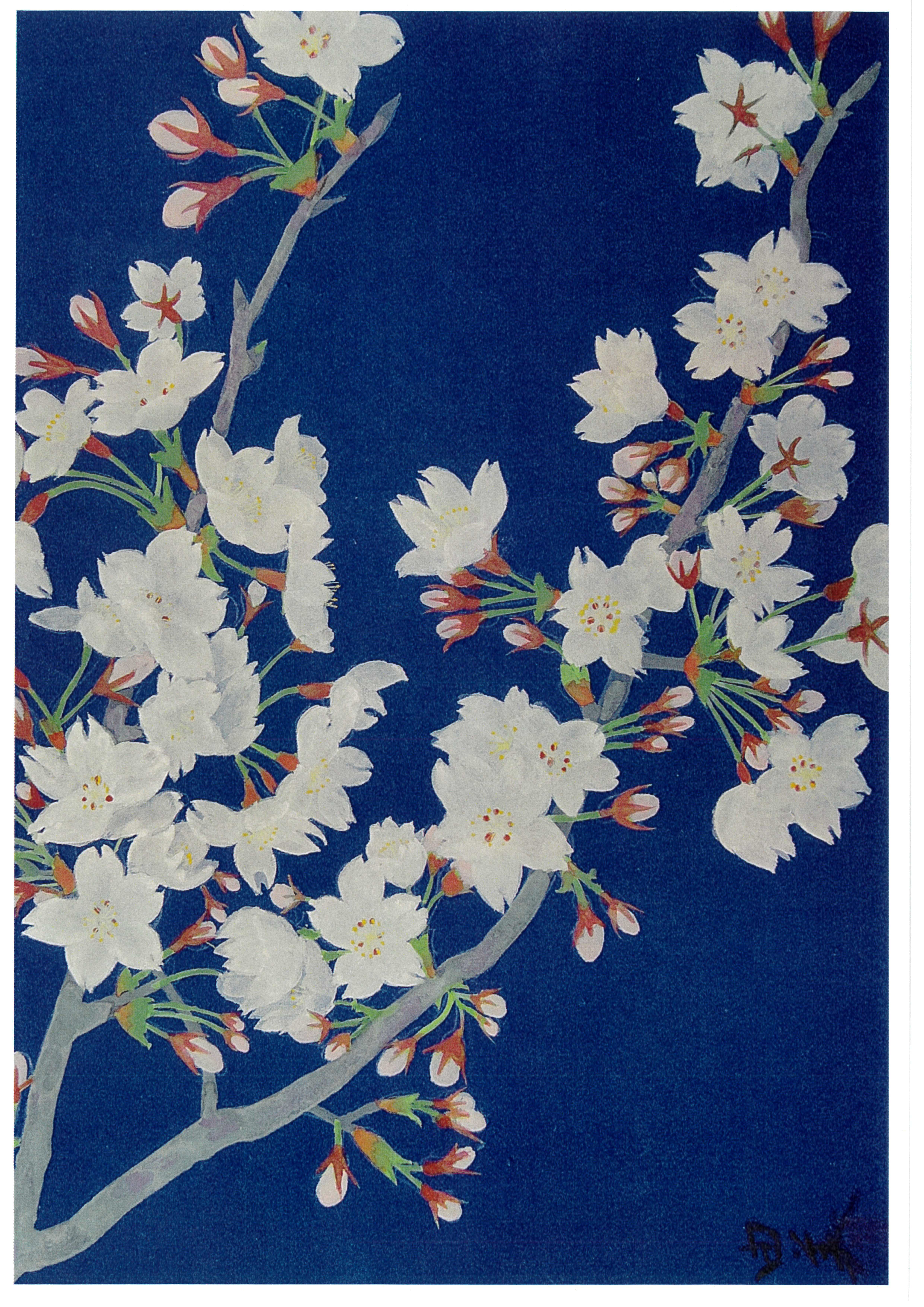 ����ͳ�����ܲ�Ÿ